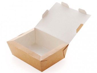 ��������� ECO LUNCH 1000 (190x150x50 ��)